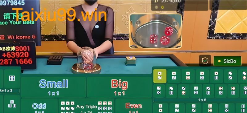 Quản lý vốn từng vòng cược tài xỉu