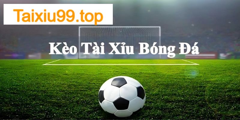 Hướng dẫn cách đọc kèo tài xỉu bóng đá